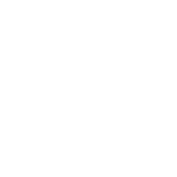 AI Consulting Icon