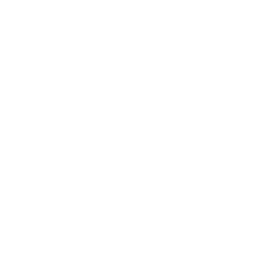 Web & Mobile Development Icon